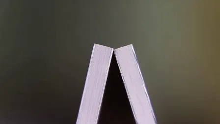 Alucoone Werbung IUV Druck Aluminium-Verbundwerkstoffe